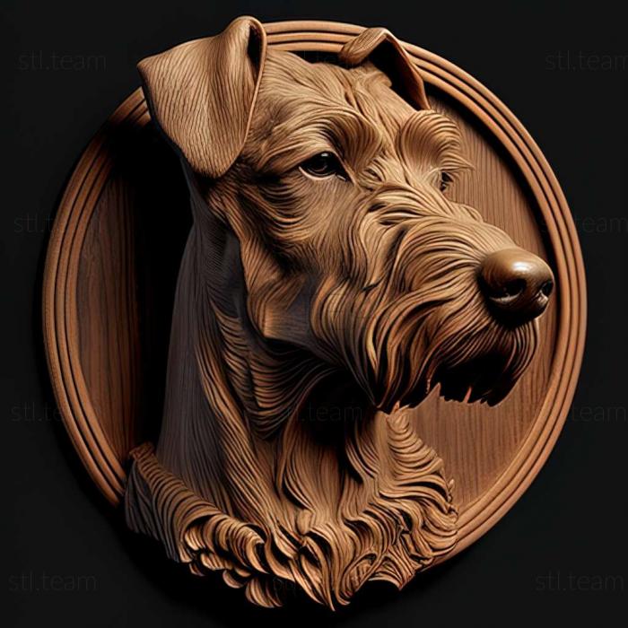 Irish Terrier dog